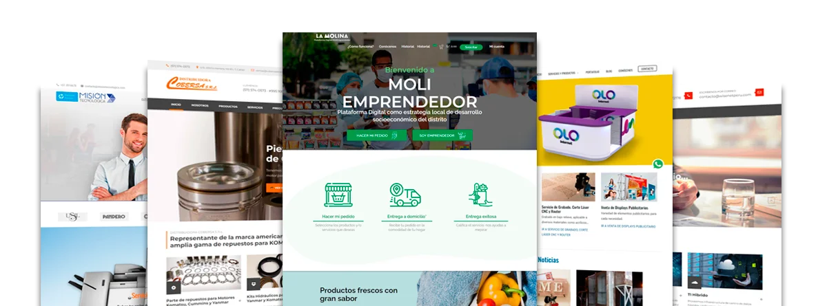 Diseño de Páginas Web en Barranco + Hosting y Dominio Gratis!