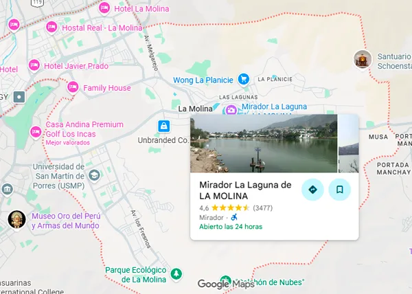 Diseño web para negocios ubicados en La Molina